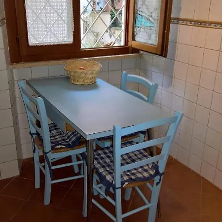 Apartment Cartoni *